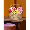 Set Of 2 Metal Meshwire Hamper Shagun Basket / Tray Platter For Packing & Serving Fruits, Sweets & Gifts (Round)( Powder Coated Gold)