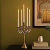 DCI Five Arm Gold Candelabra, Creative Design Home Decor Candle Holder/Wedding Centerpiece Occasions Candelabra/Decorative Candle Holder for Dining Table Decorative 5 arm Candle Holders (Gold(5arm))